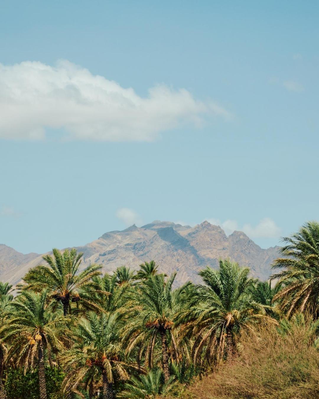 Mandarin Oriental, Muscat Hotel Luaran gambar
